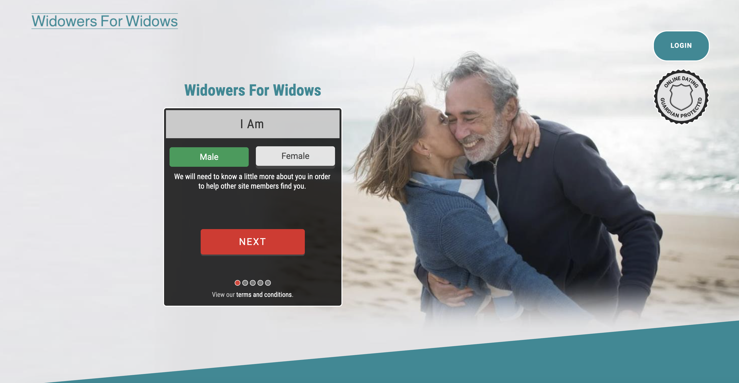 Widowers For Widows screenshot