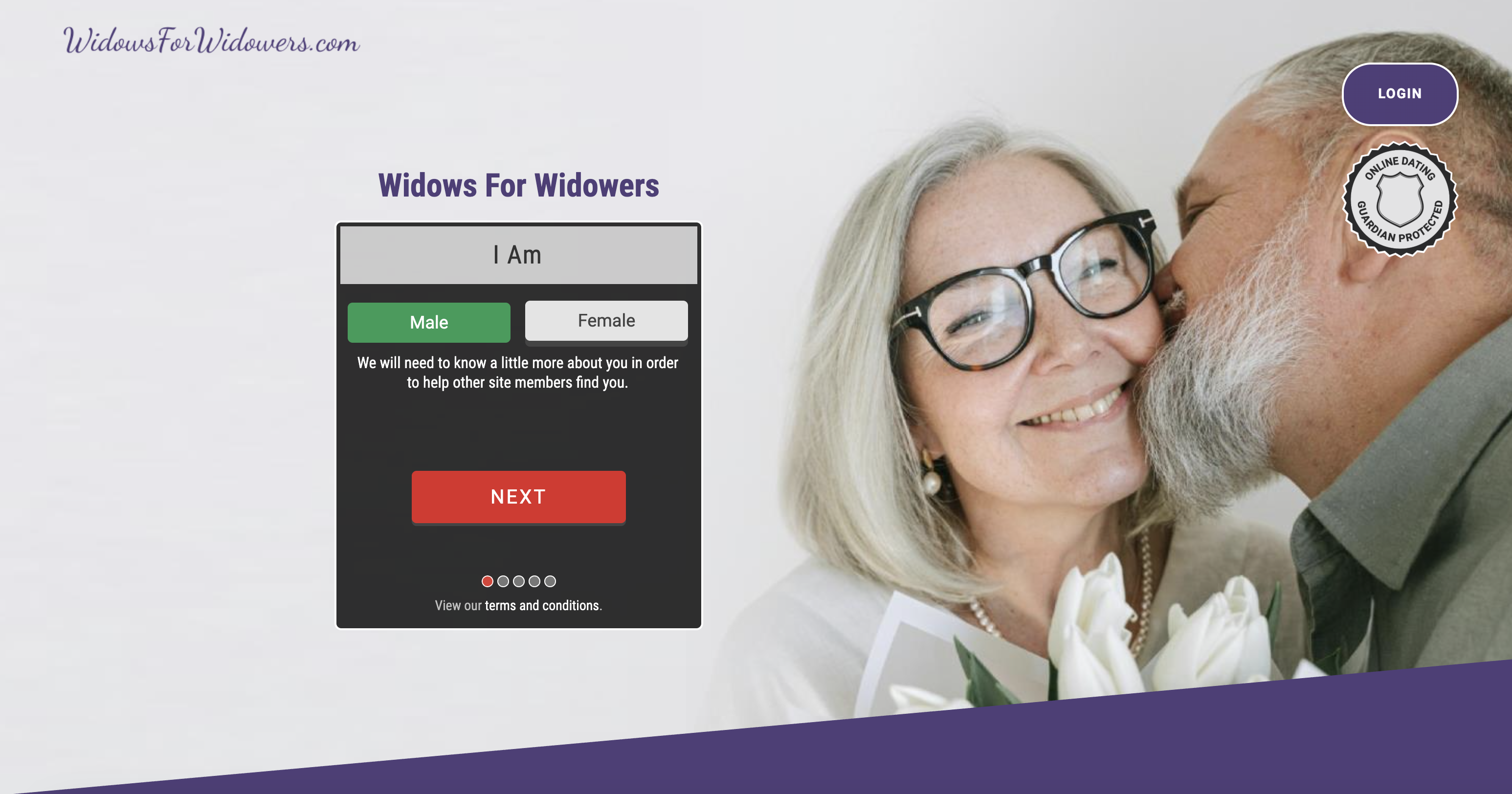 Widows For Widowers screenshot